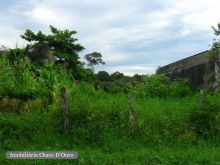 Venda Terreno Peruíbe - SP